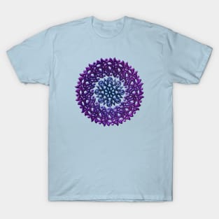 Celtic Patterns within Patterns 5 T-Shirt